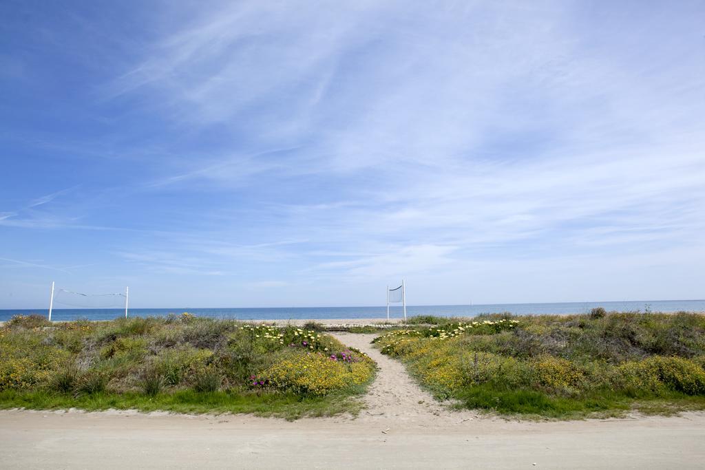 Rosa 3* Dénia